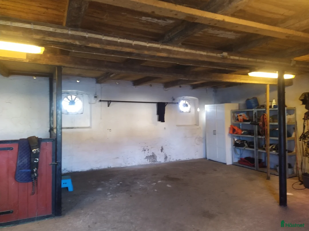  stallplats finnes: Hästboxar att hyra på en fantastisk tomt.  i Tomelilla - Annons 14