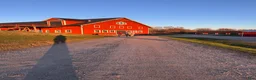 Hoppning hästar sökes: Häst på foder  - Annons 2