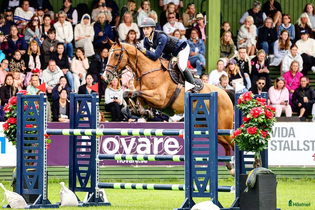 Galleribild {{count}}