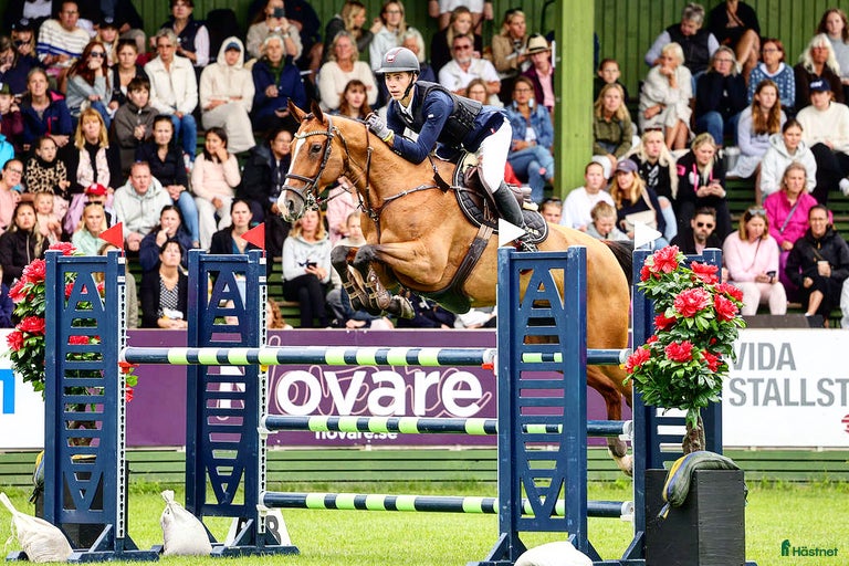 Galleribild {{count}}