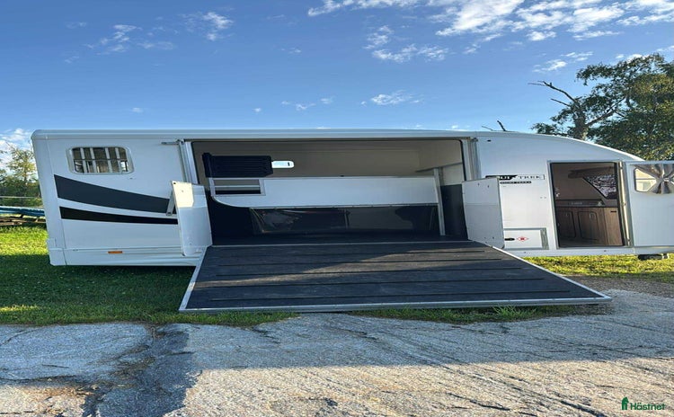 Hästtransporter  fordon & transport till salu i Norrtälje - Annons 13