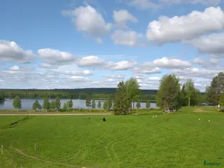 hästar Trygg sällskapshäst sökes - Annons 1