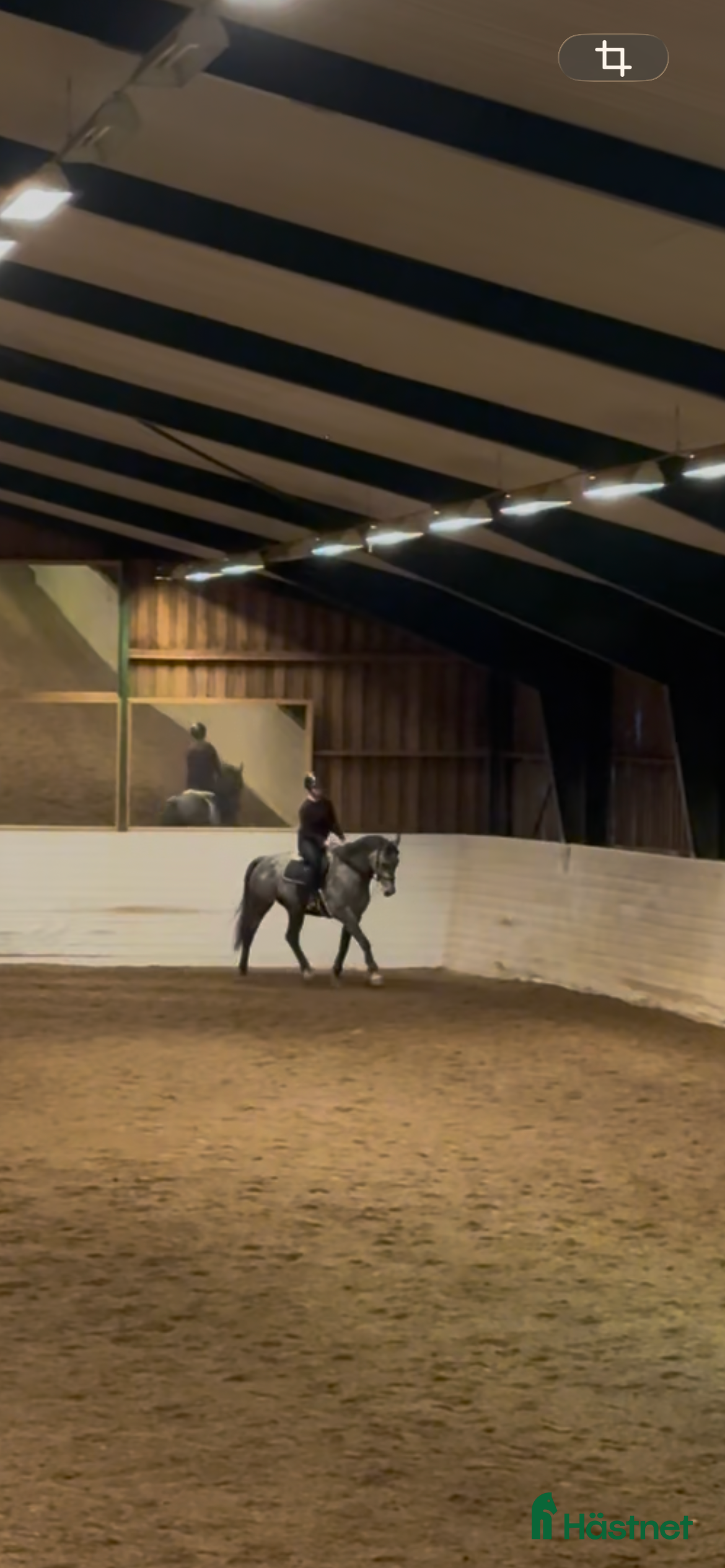  medryttarhäst sökes: Medryttarhäst sökes i Bålsta - Annons 17