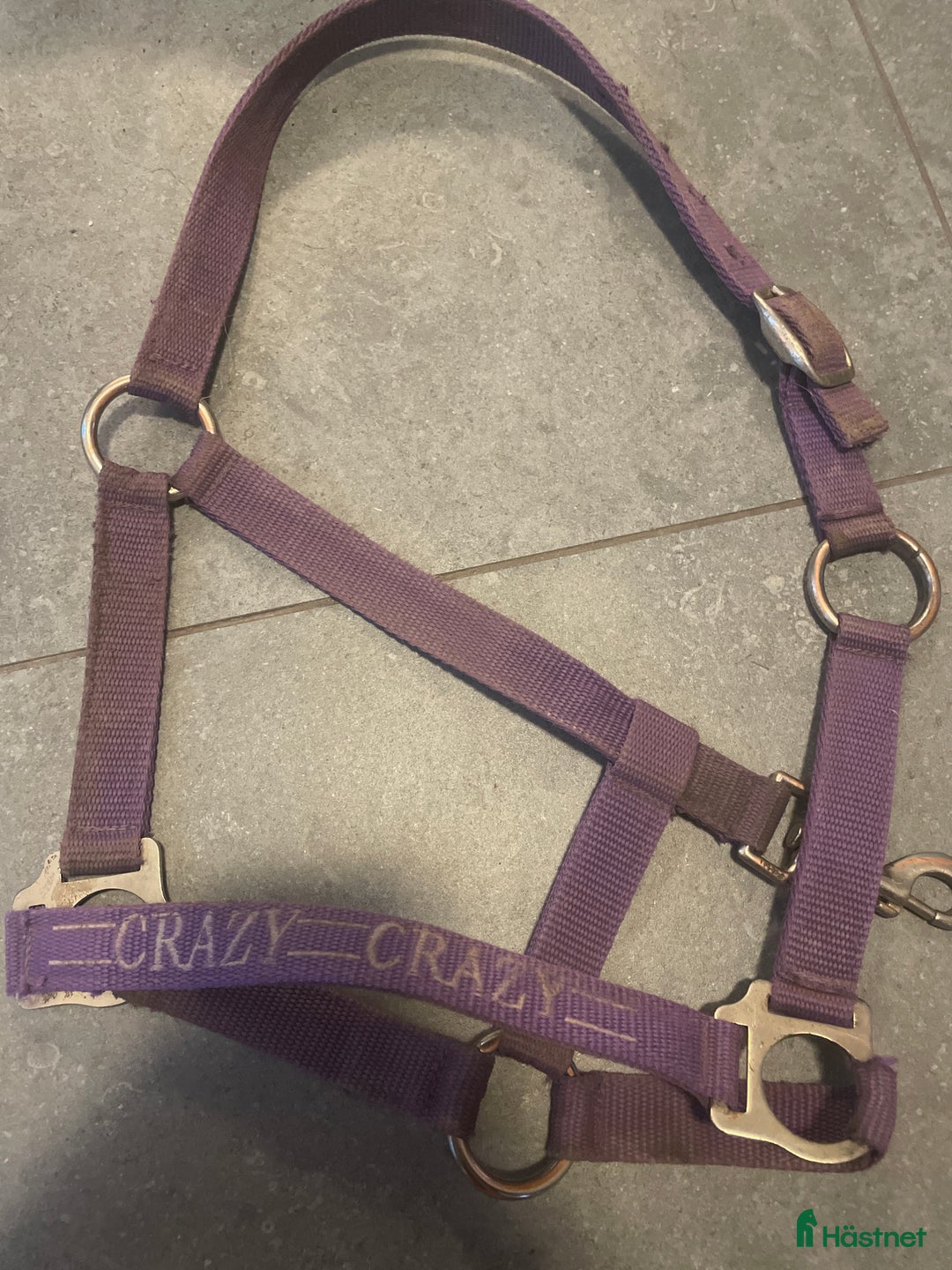 Övrig Hästutrustning hästutrustning till salu: Grimma i Östersund - Annons 1