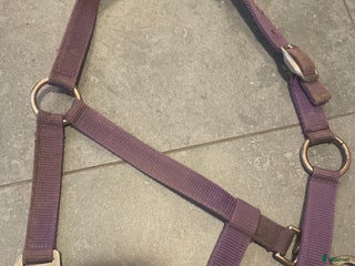 Övrig Hästutrustning hästutrustning till salu: Grimma i Östersund - Annons 11