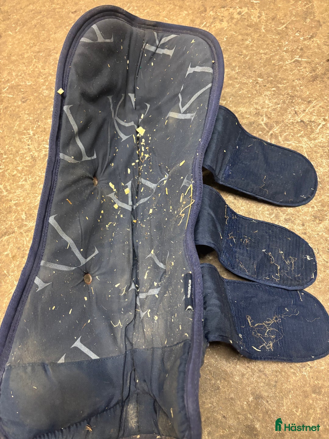 Benskydd hästutrustning till salu: Kingsland transportskydd  i Vinninga - Annons 17