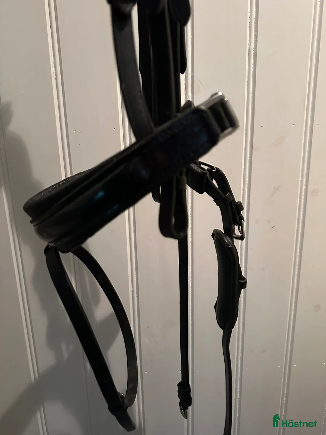 Träns hästutrustning till salu: Vackraste dressyrtränset - Annons 5