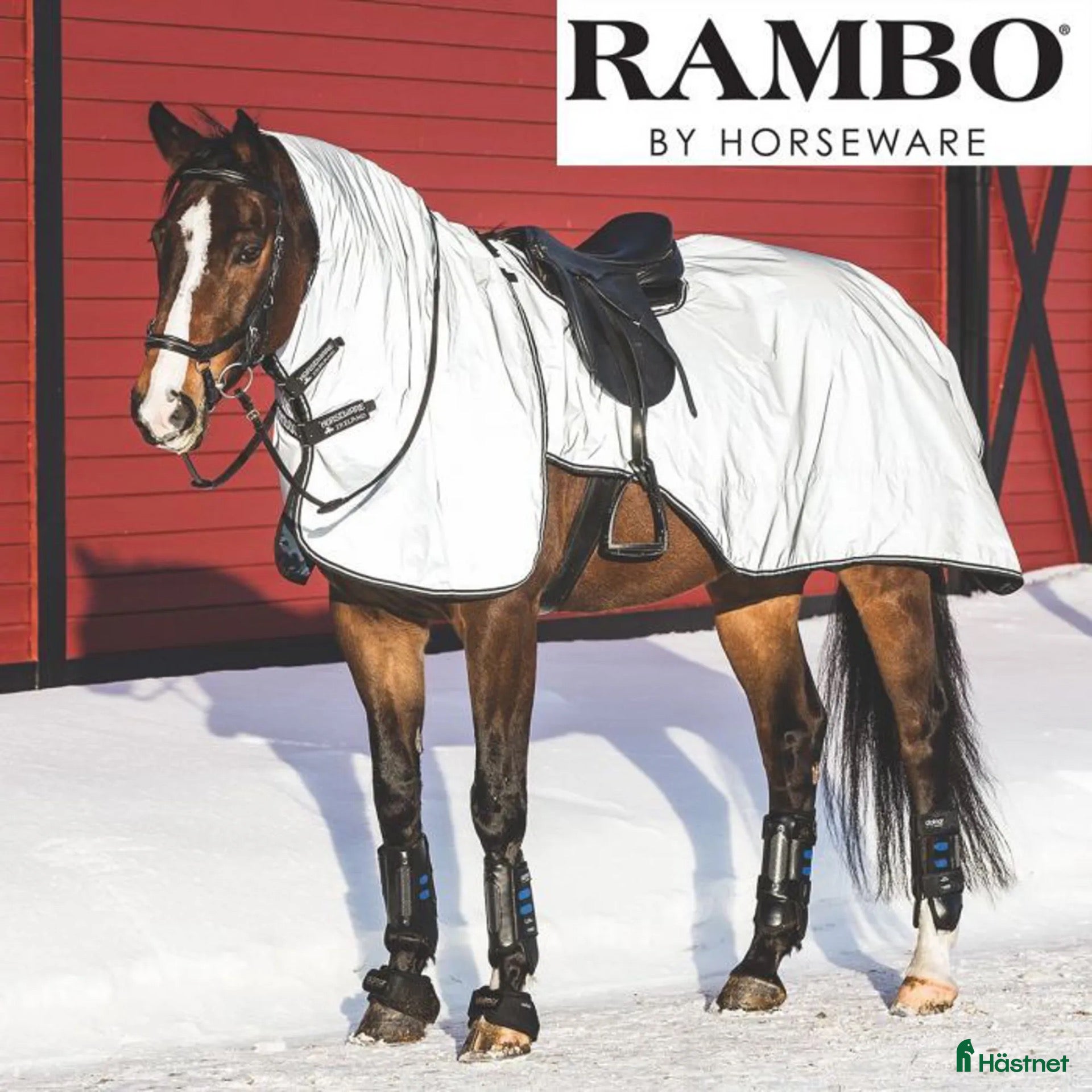 Övrig Hästutrustning hästutrustning till salu: Reflexridtäcke Horseware Nightrider  - Annons 2