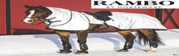 Övrig Hästutrustning hästutrustning till salu: Reflexridtäcke Horseware Nightrider  - Annons 1