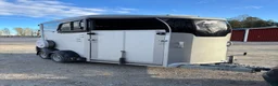 Hästtransporter  fordon & transport till salu: Ifor Willams HBX 506 med sadelkammare - Annons 5