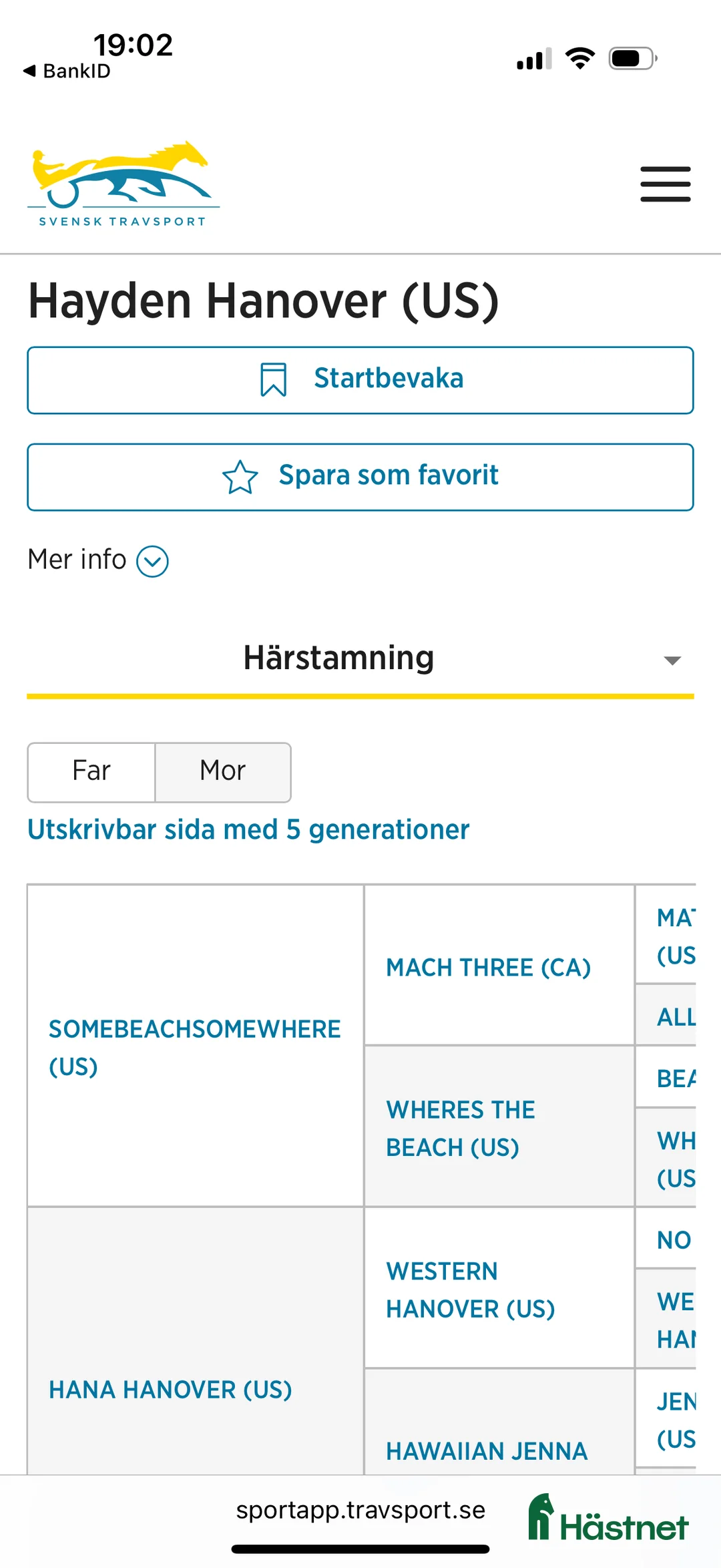 Trav hästar till salu: Nyfiken välhanterat årsföl e Hayden Hanover i Tystberga - Annons 7