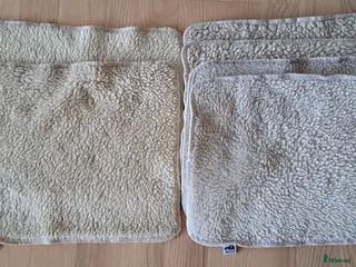 Benskydd hästutrustning Mias RS Teddy/Fleecepaddar creme i Kullavik - Annons 3