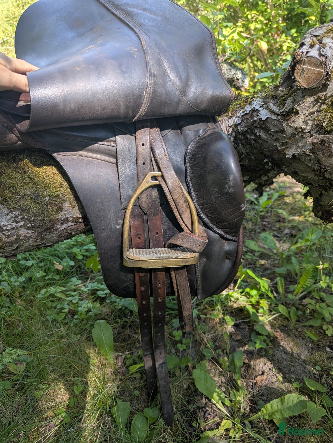 Sadlar hästutrustning till salu: Morris Nolan dressyrsadel  i Harbo - Annons 8
