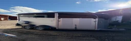 Hästtransporter  fordon & transport till salu: Ifor Williams hbx 511 -2022 hästtransport  - Annons 3
