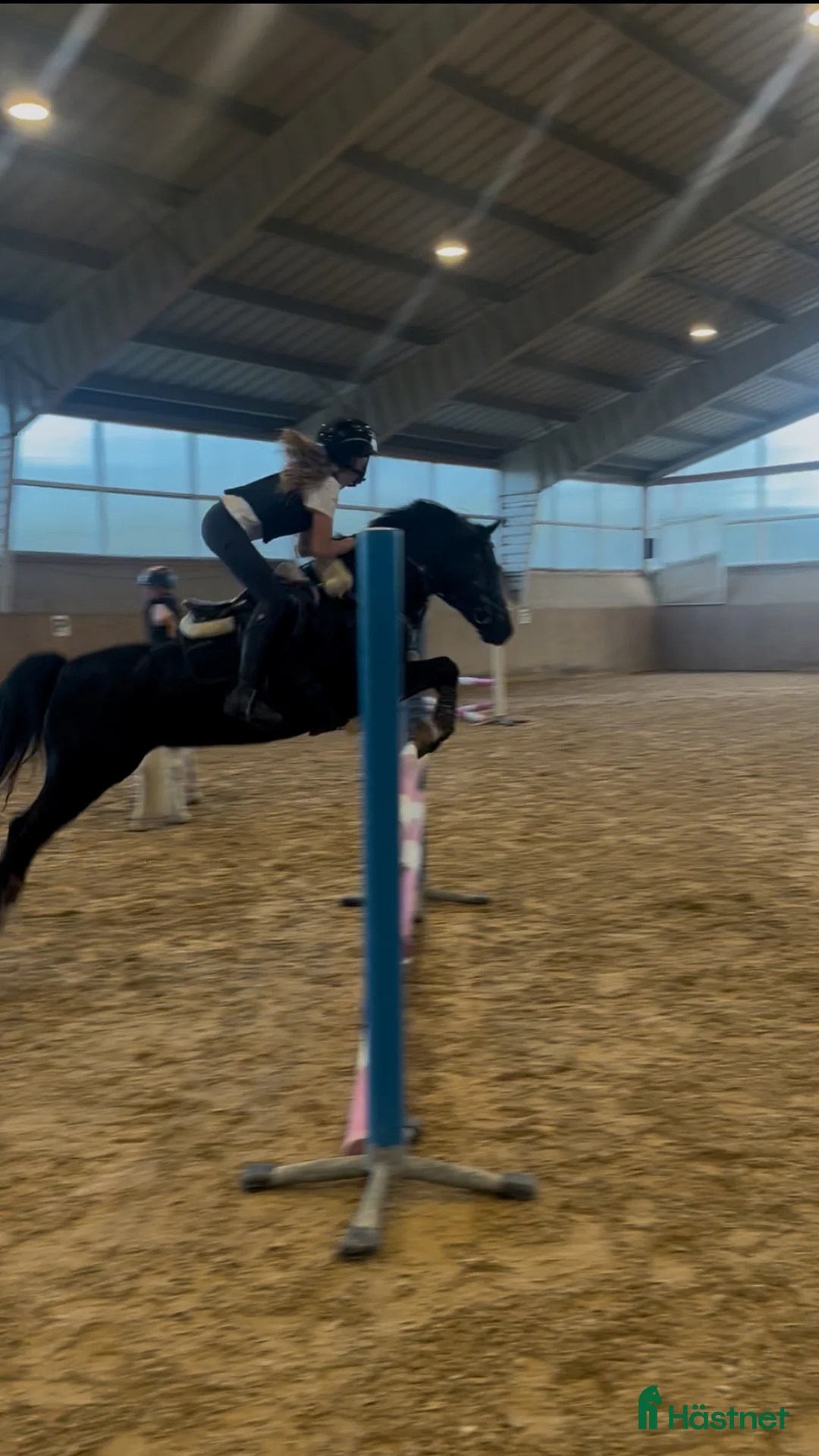 Hoppning hästar till salu: Världens bästa Nora 🖤 - Annons 2