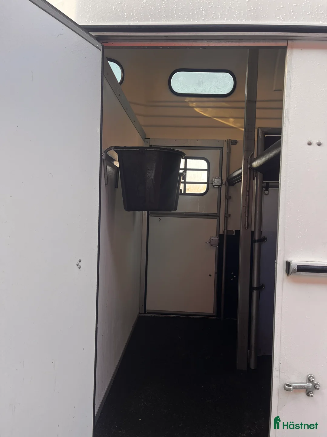 Hästtransporter  fordon & transport till salu: Fin Forzab Futuro  i Fridlevstad - Annons 7