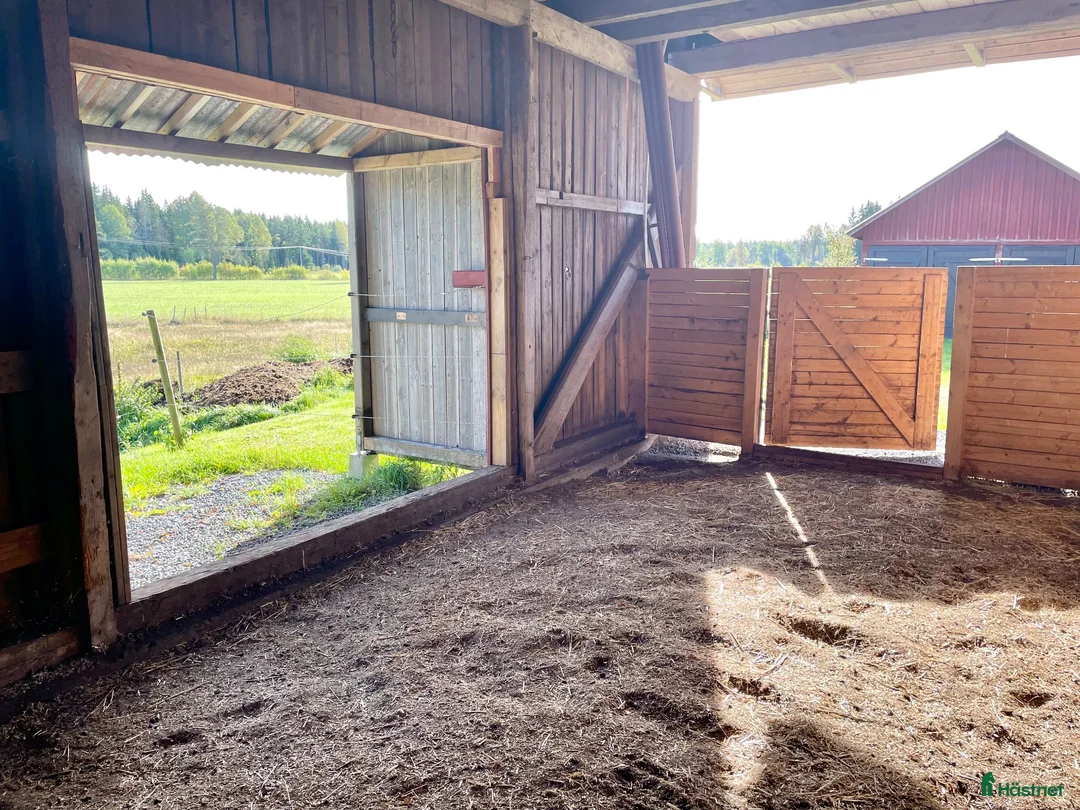  stallplats finnes: Plats i litet stall utanför Jönköping  - Annons 8