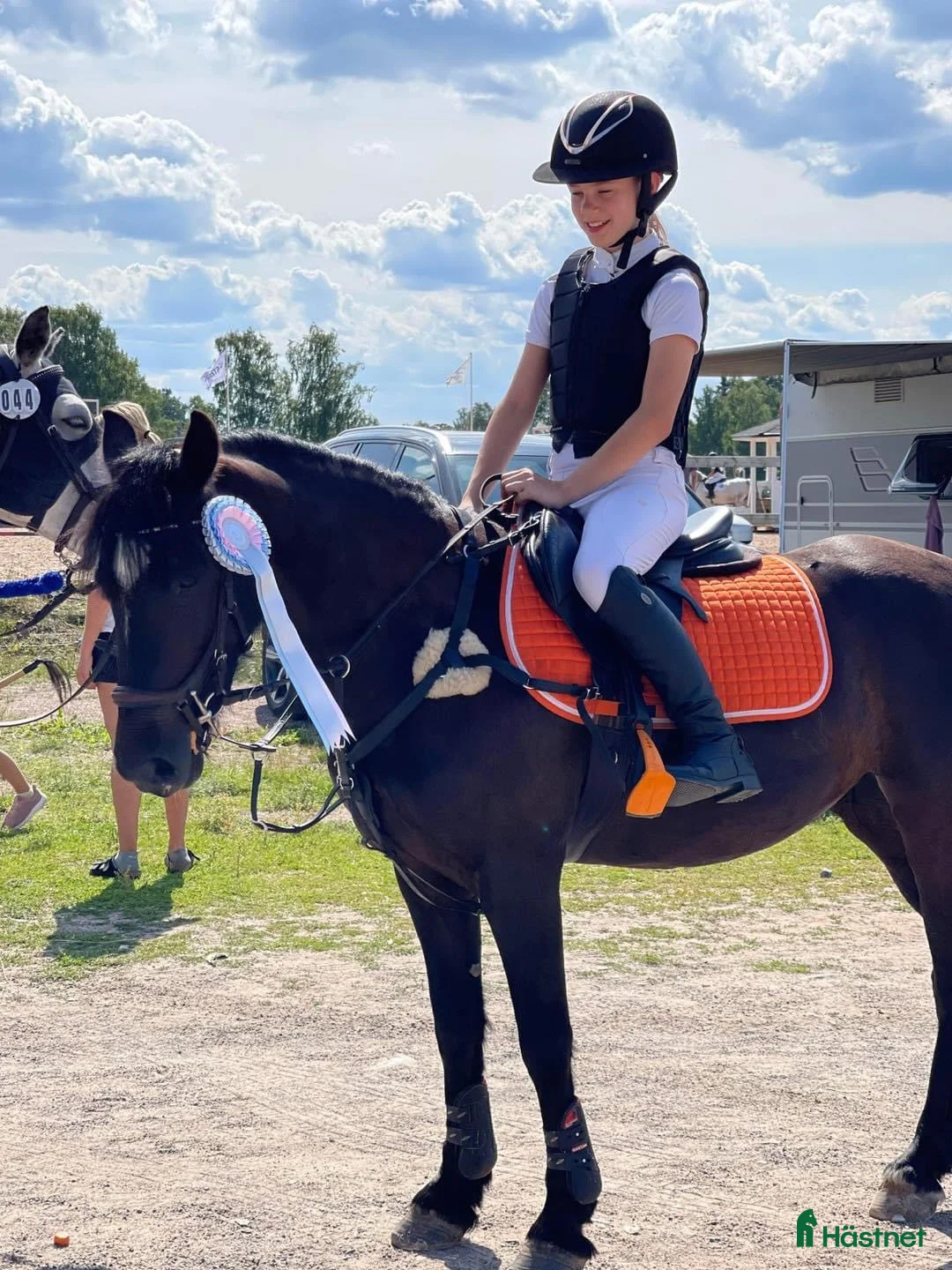 Hoppning hästar till salu: tävlingsponny kat.C (nedsatt pris tom v9) - Annons 2