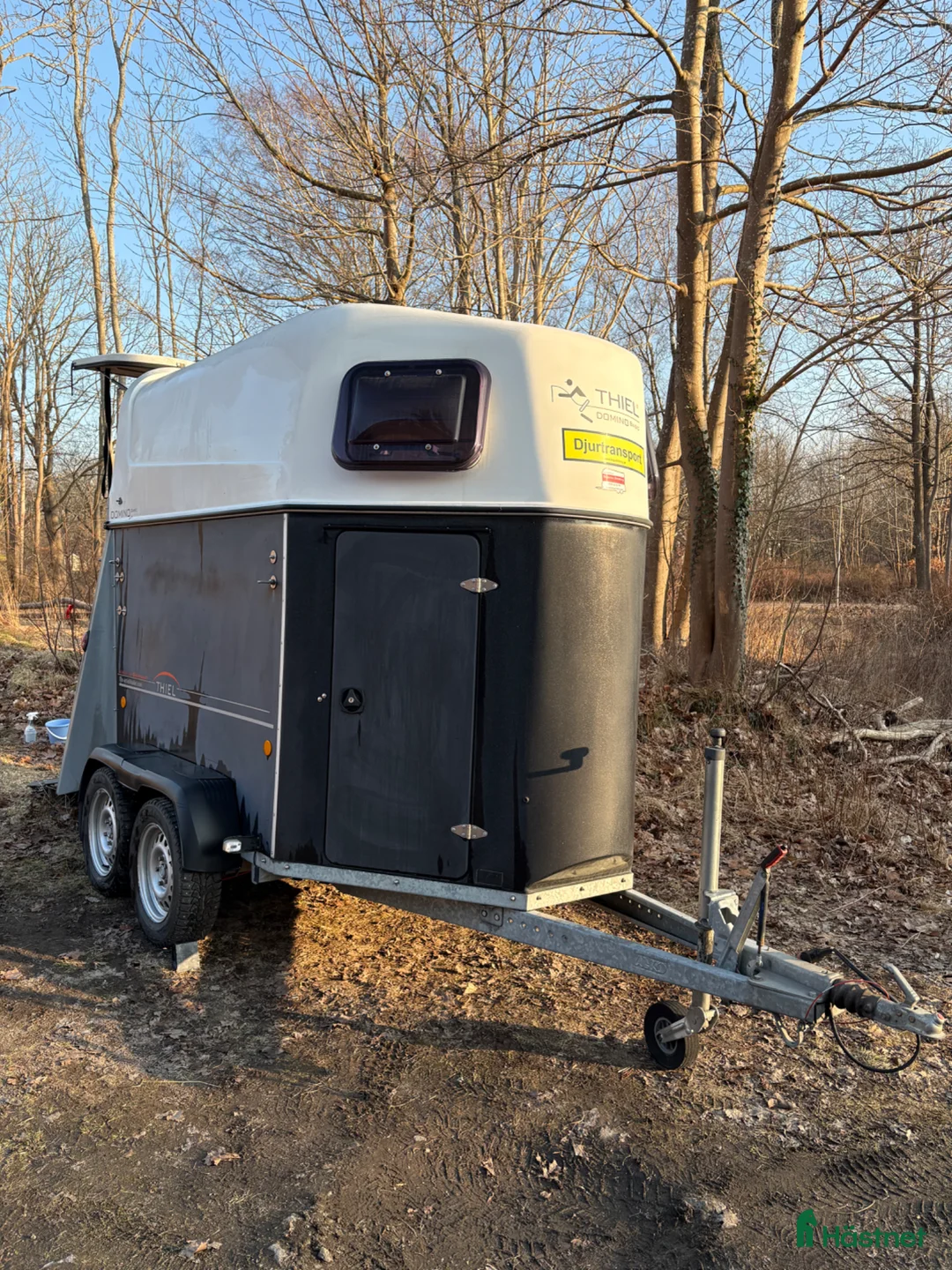 Hästtransporter  fordon & transport till salu: Superfint thiel domino släp  - Annons 1