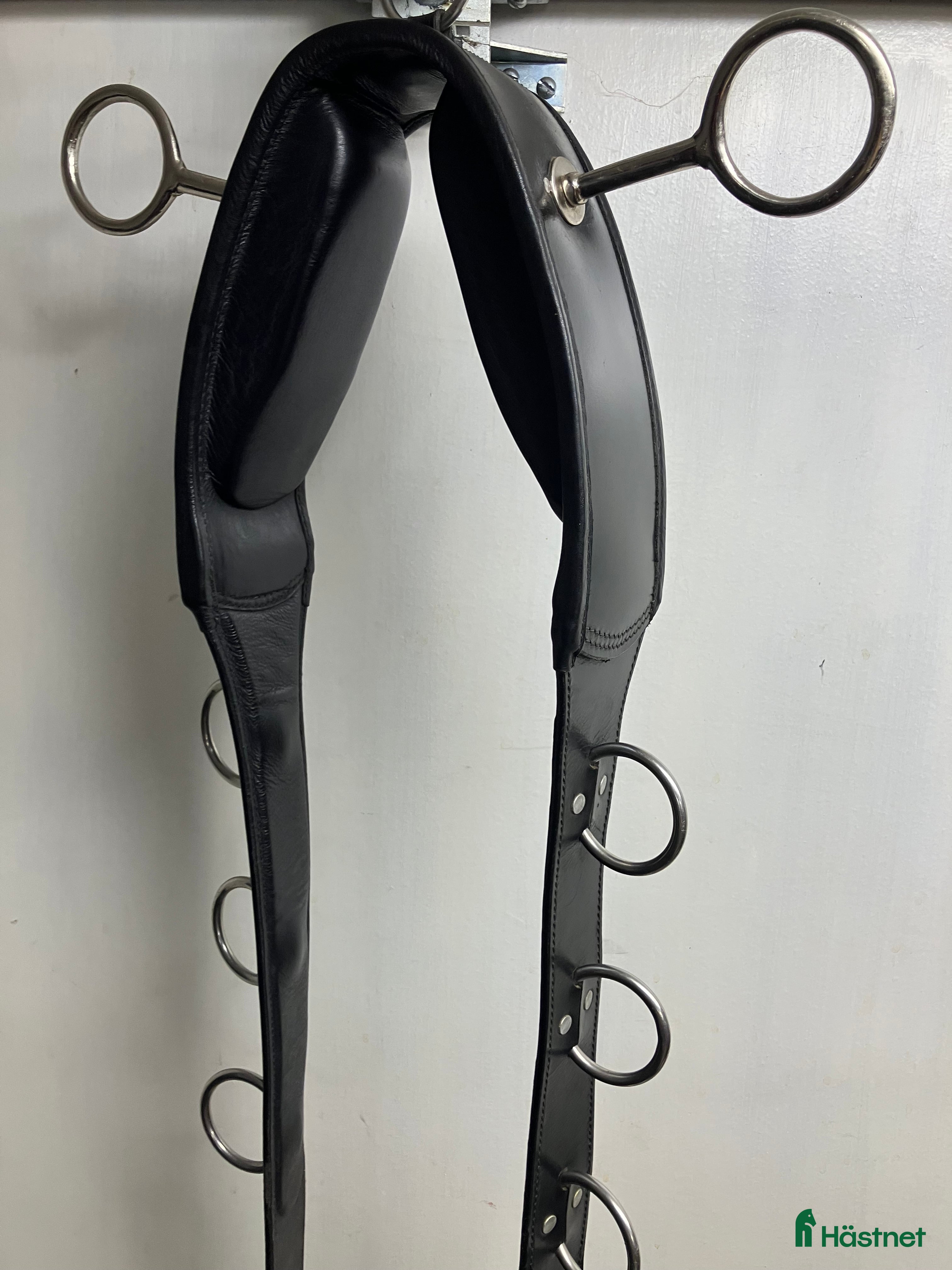 Övrig Hästutrustning hästutrustning Karlslund longer- och tömkörningsgjord i Täby - Annons 3