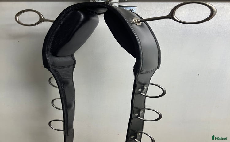 Övrig Hästutrustning hästutrustning till salu i Täby - Annons 17