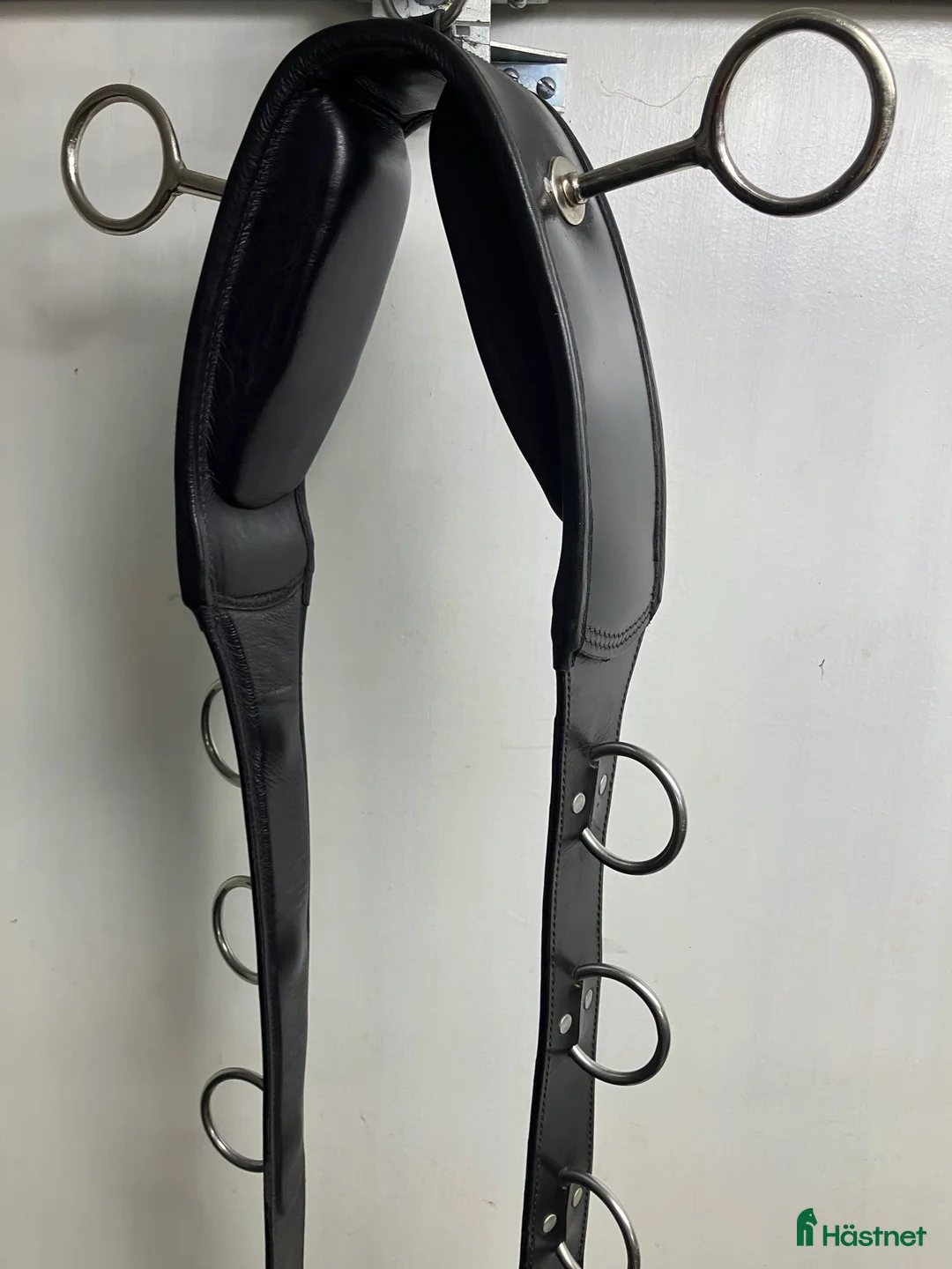 Övrig Hästutrustning hästutrustning till salu: Karlslund longer- och tömkörningsgjord i Täby - Annons 1