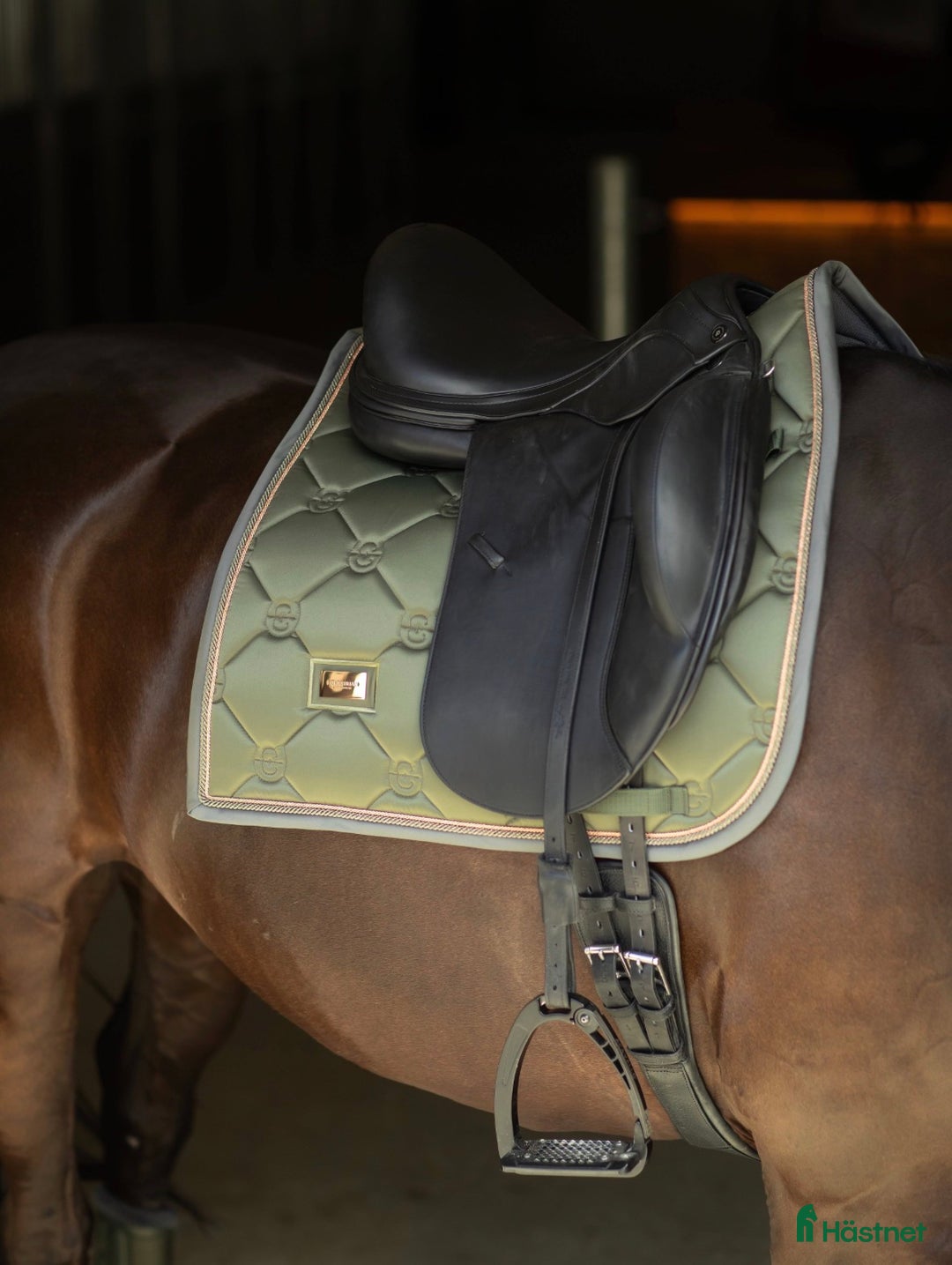 Schabrak & Vojlockar hästutrustning till salu: Oanvänt Equestrian Stockholm schabrak säljes! - Annons 3