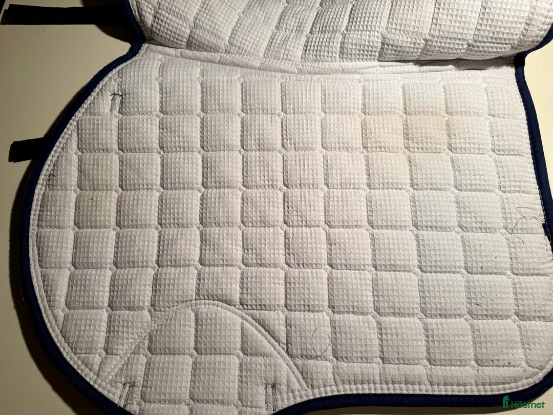 Schabrak & Vojlockar hästutrustning till salu: PS of Sweden schabrak  i Linköping - Annons 12