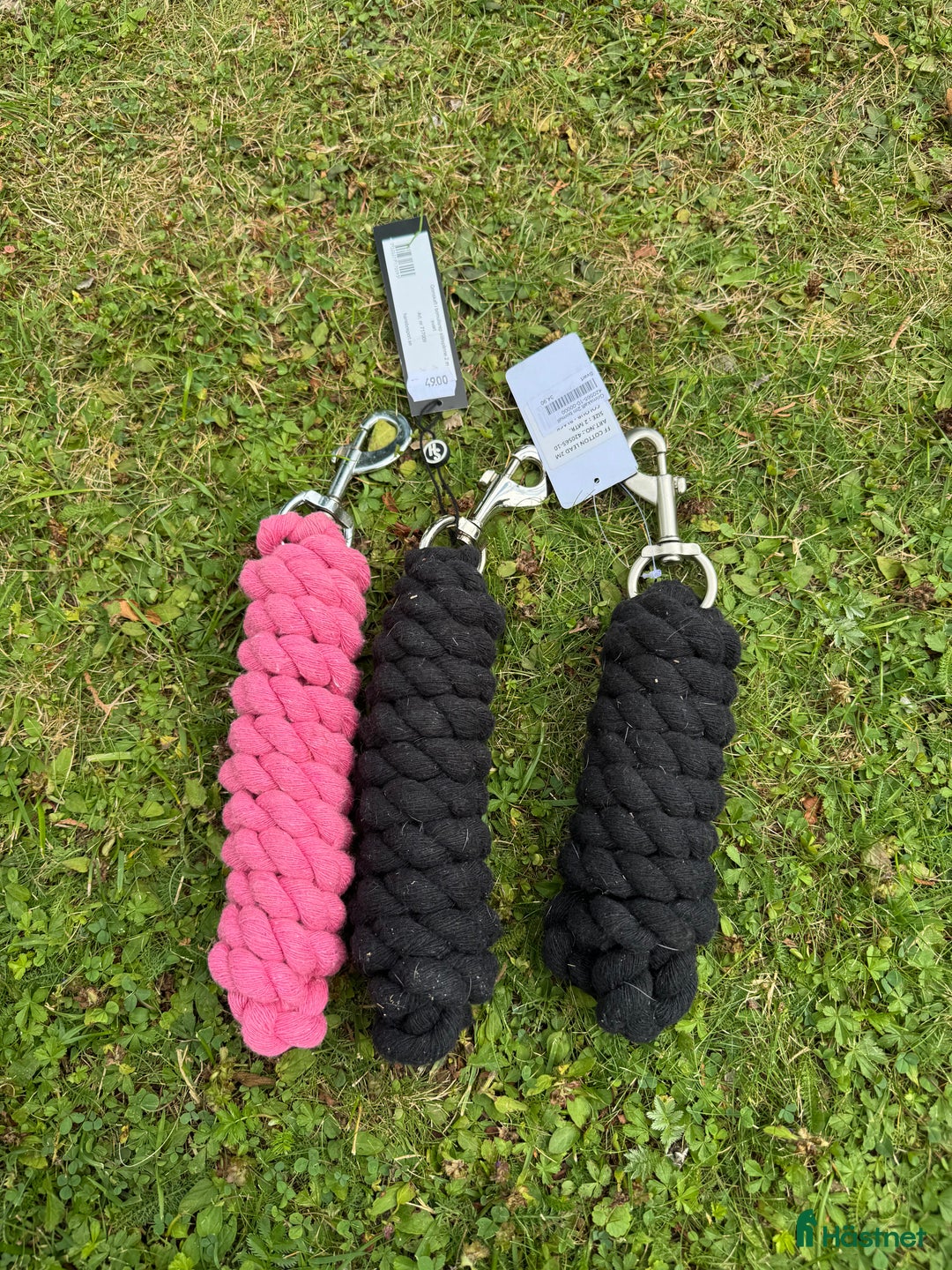 Övrig Hästutrustning hästutrustning till salu: Märkesprylar i Täby - Annons 10