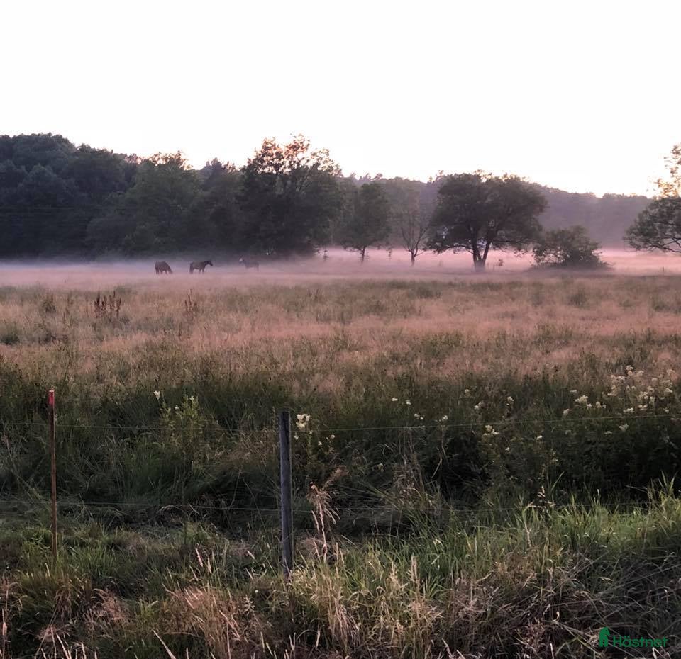  stallplats finnes: Stallplats Hisings Kärra i Hisings Kärra - Annons 1