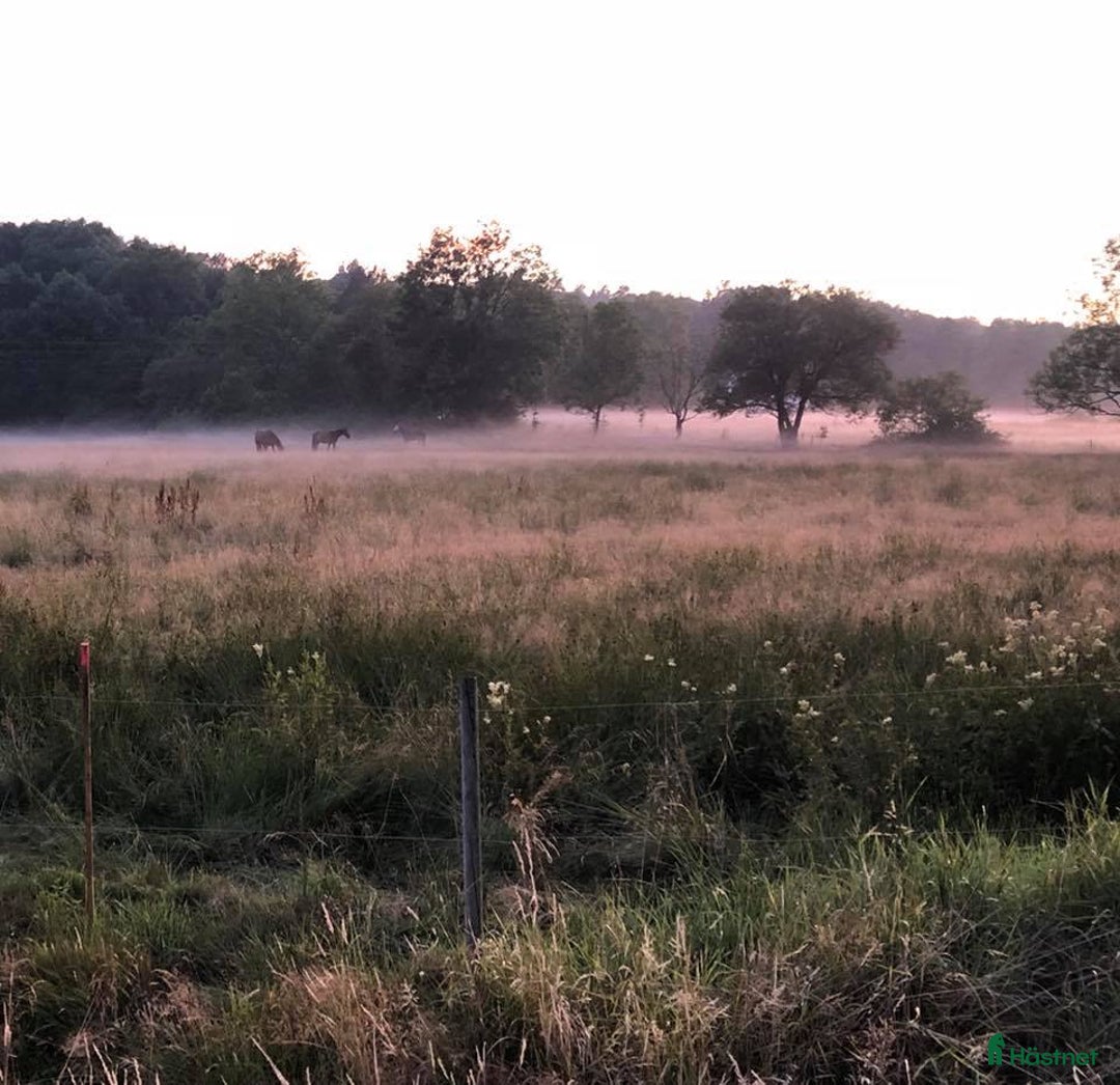  stallplats finnes: Stallplats Hisings Kärra i Hisings Kärra - Annons 1