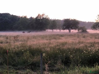 stallplats Stallplats Hisings Kärra i Hisings Kärra - Annons 13