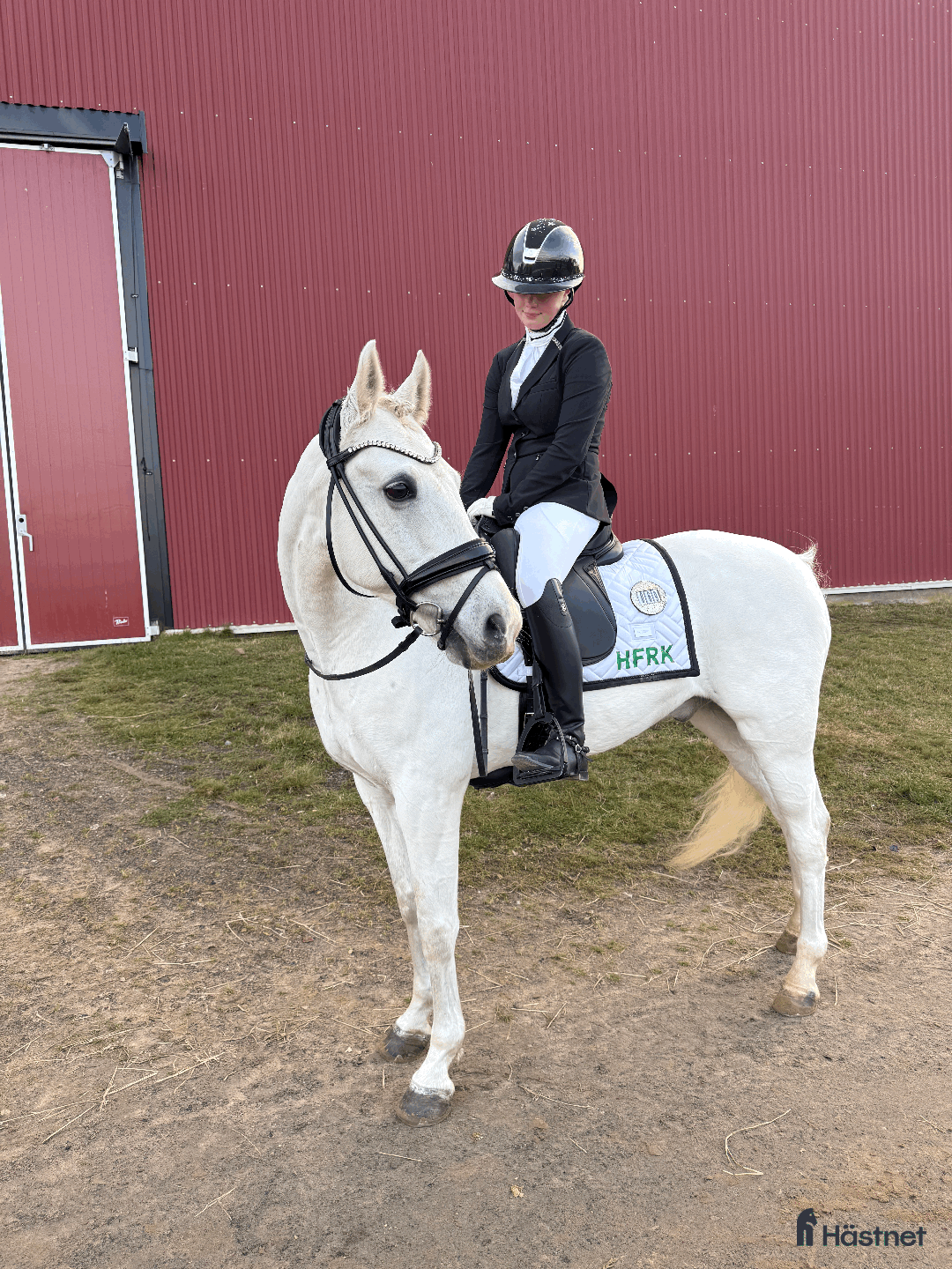 Dressyr hästar till salu: Sagolik dressyrponny i Lund - Annons 4