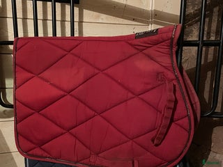 Schabrak & Vojlockar hästutrustning till salu: Schabrak full i Karlstad - Annons 9