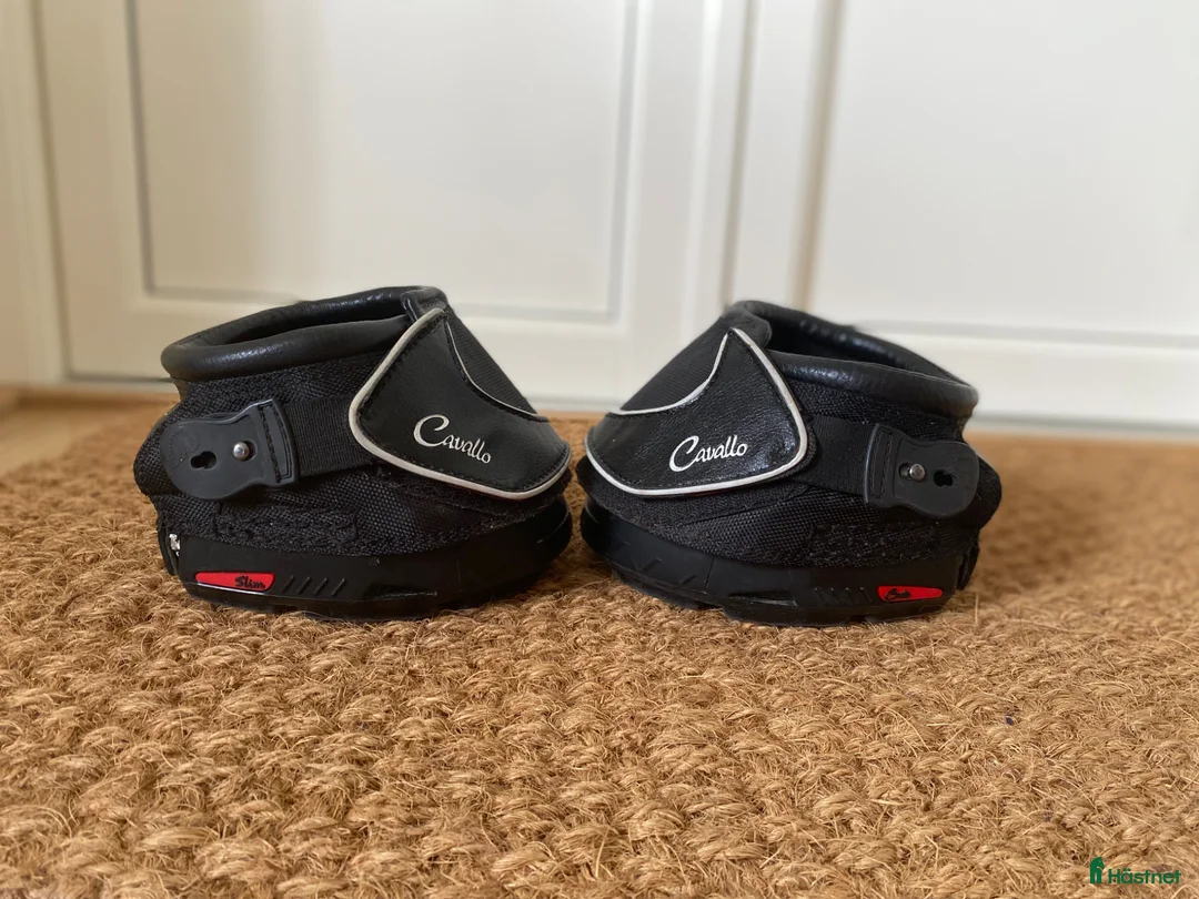 Övrig Hästutrustning hästutrustning till salu: Cavallo Boots  - Annons 2