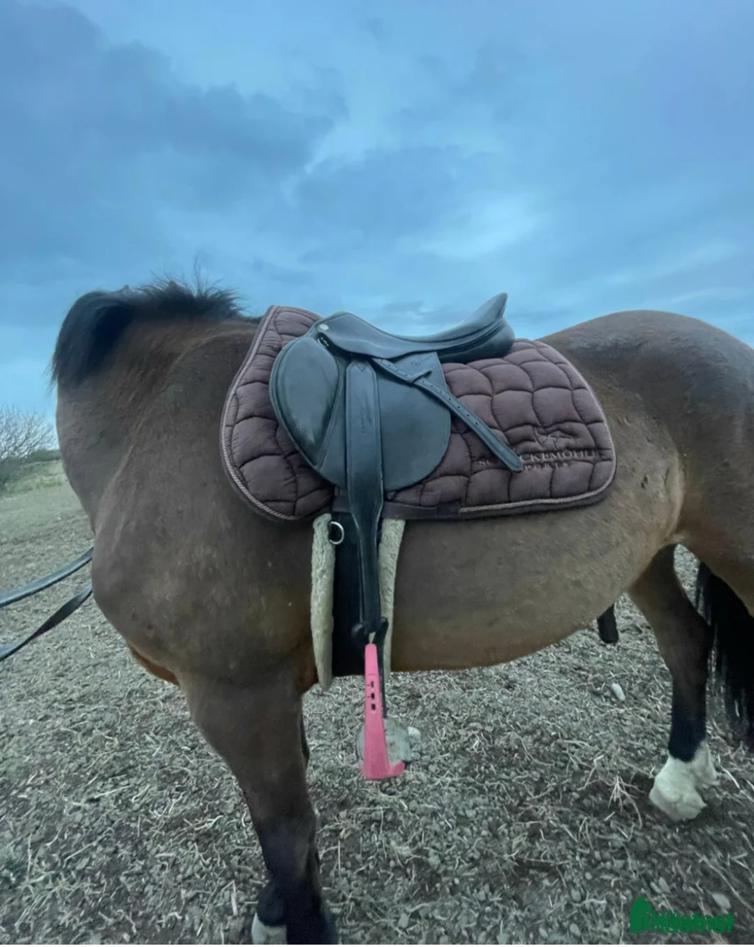 Sadlar hästutrustning till salu: Pessoa pony 16”/MW i Bro - Annons 2