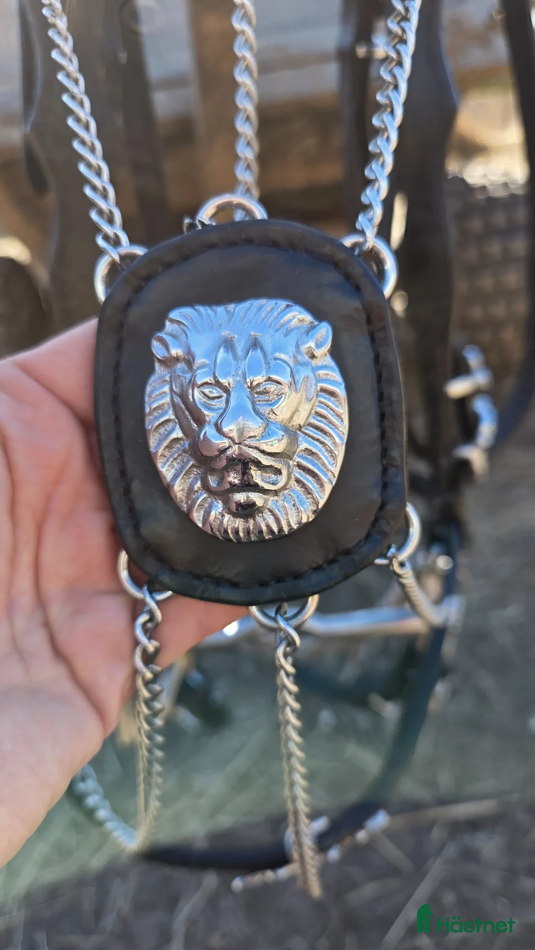 Träns hästutrustning till salu: Fint akademiskt träns i Skövde - Annons 2