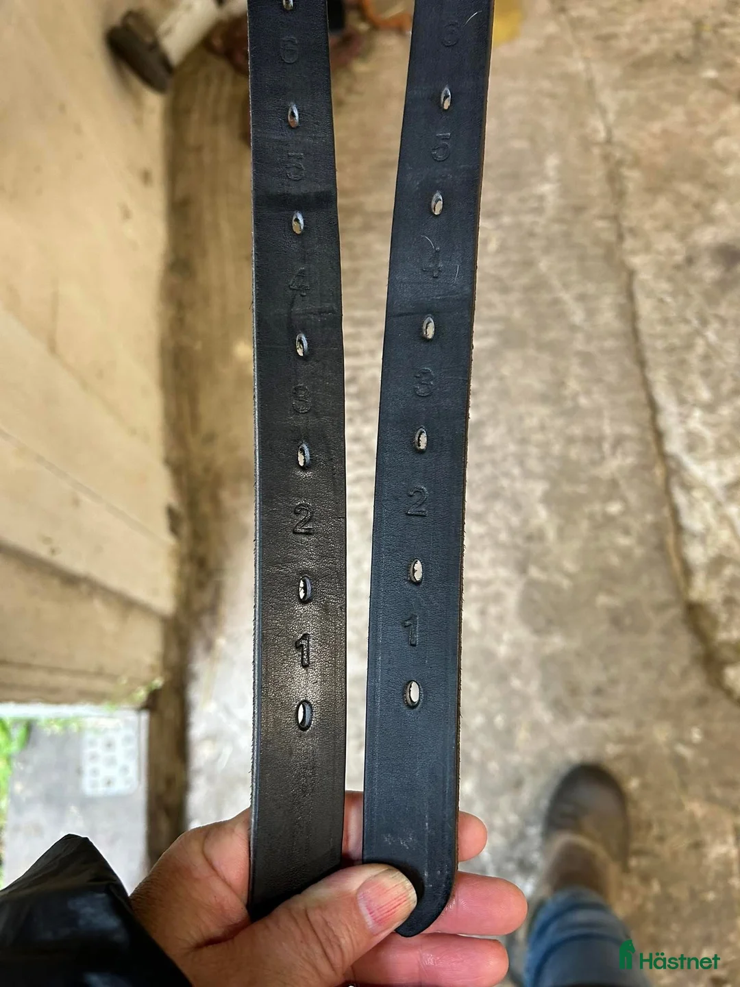 Sadlar hästutrustning till salu: Ikonic Ponny Light Hybrid 16” 2024 - Annons 8