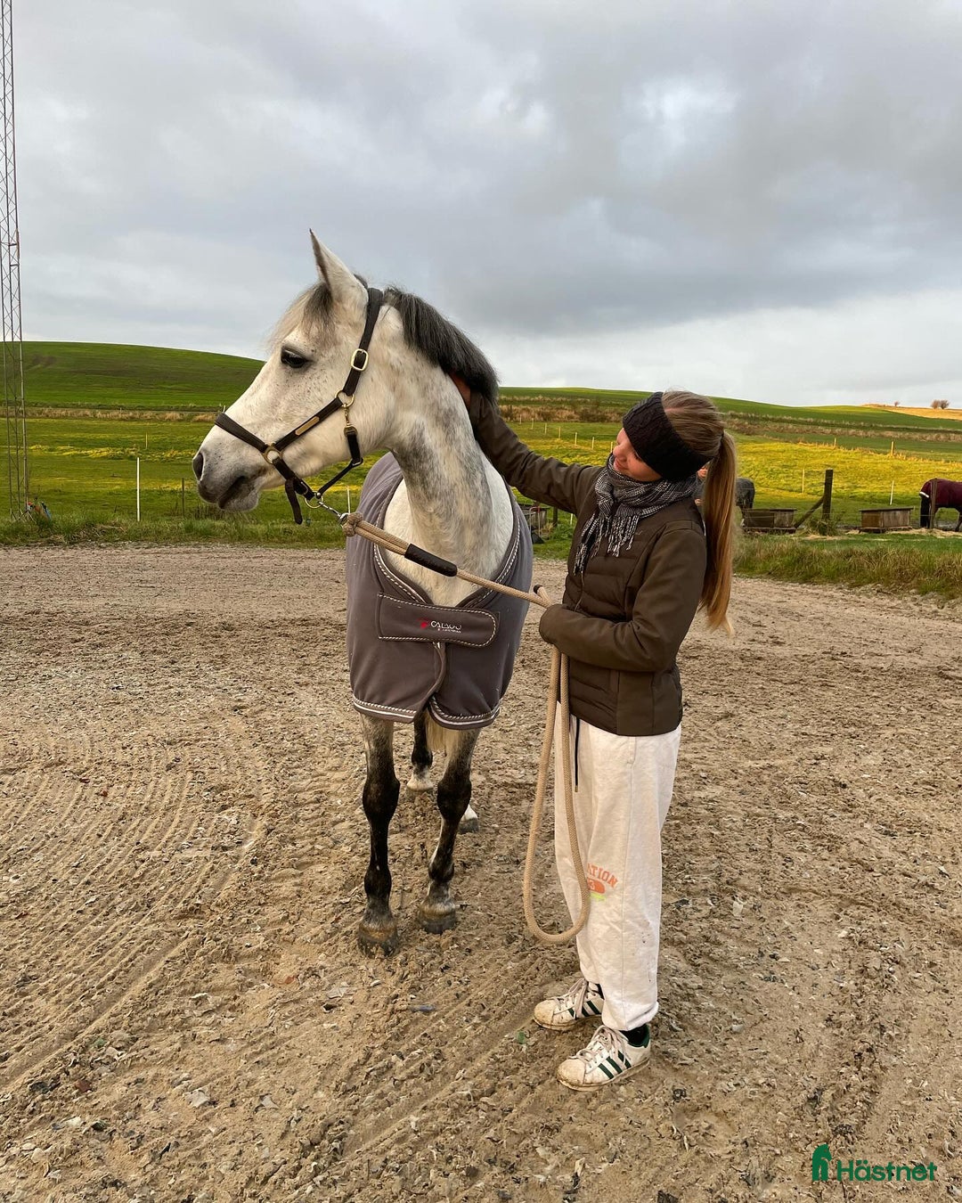 Hoppning hästar till salu: Koncurrence pony - Annons 1