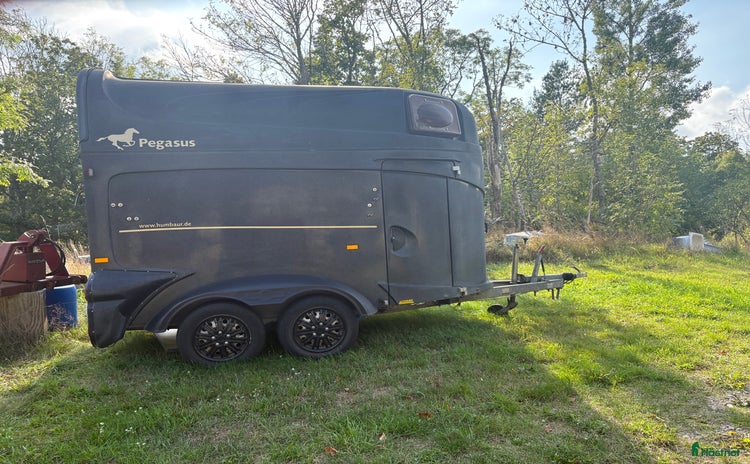 Hästtransporter  fordon & transport till salu i Oskarshamn - Annons 10