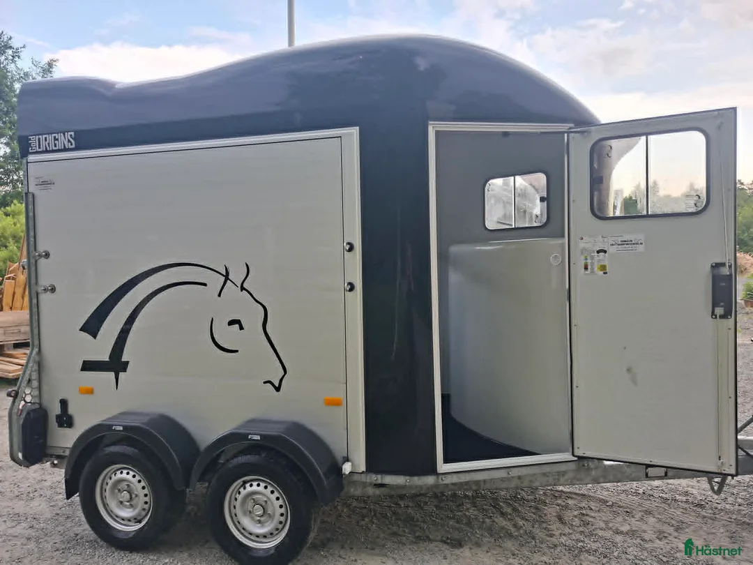 Hästtransporter  fordon & transport till salu: Gold Origins - Annons 2