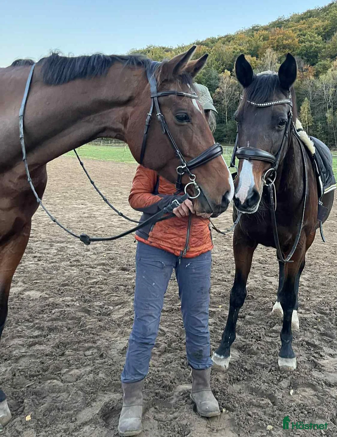 Galleribild {{count}}