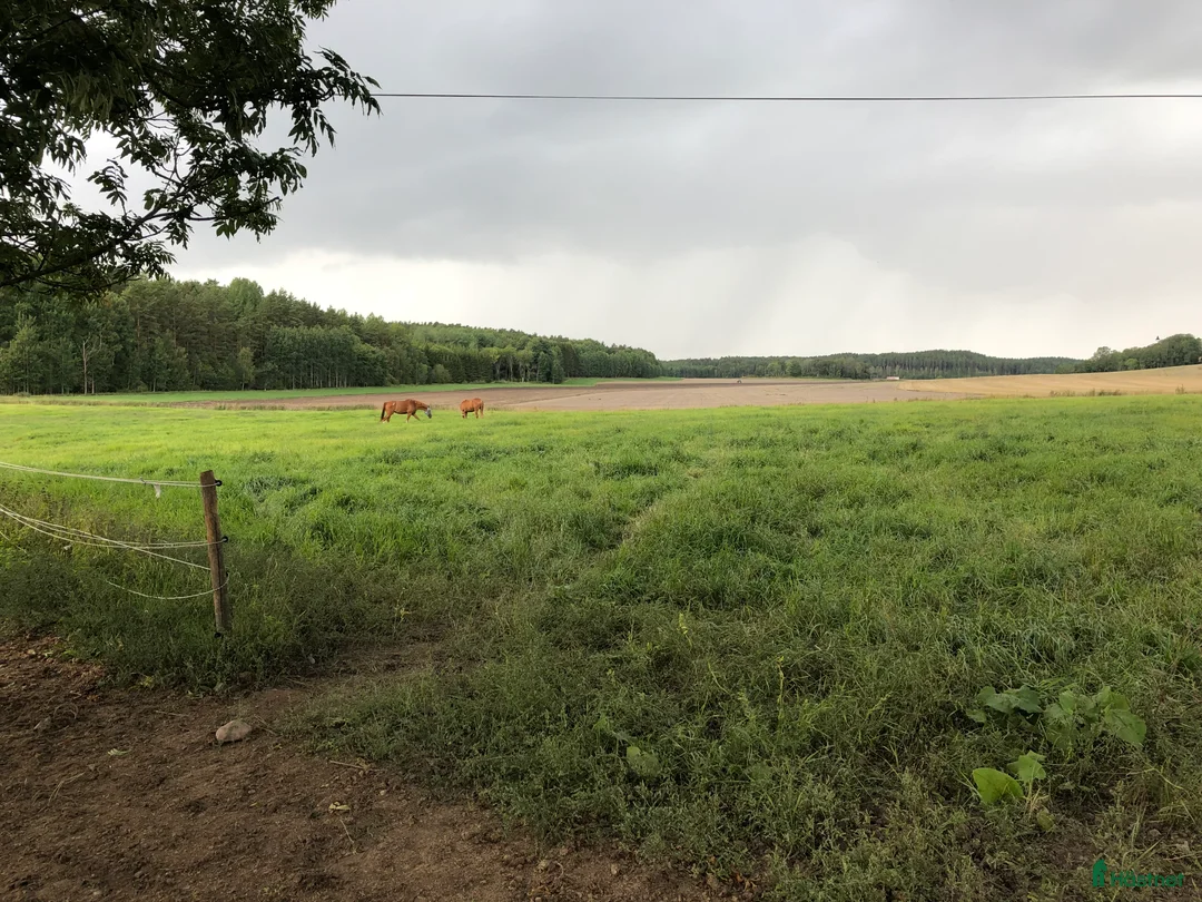  stallplats finnes: Stallplatser mellan Norrköping-Söderköping  i Norrköping - Annons 5