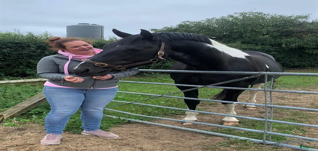 Galleribild {{count}}