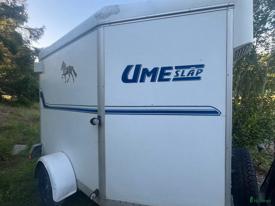 Hästtransporter  fordon & transport till salu: Nedtypat Ume A10 släp  - Annons 4