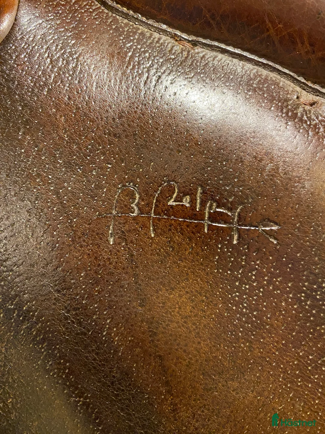 Sadlar hästutrustning till salu: Bruno Delgrange Partition - Annons 6