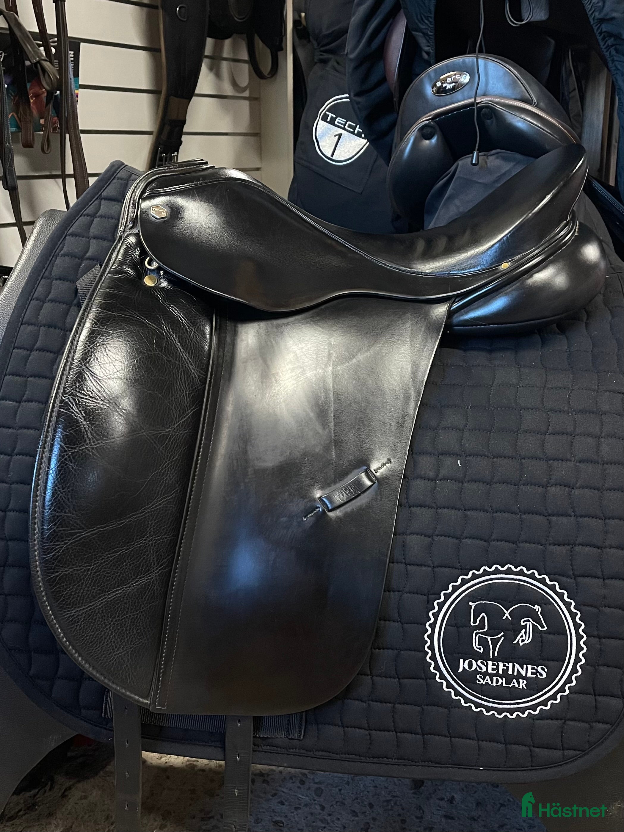 Sadlar hästutrustning till salu: Albion Style  i Hova - Annons 4