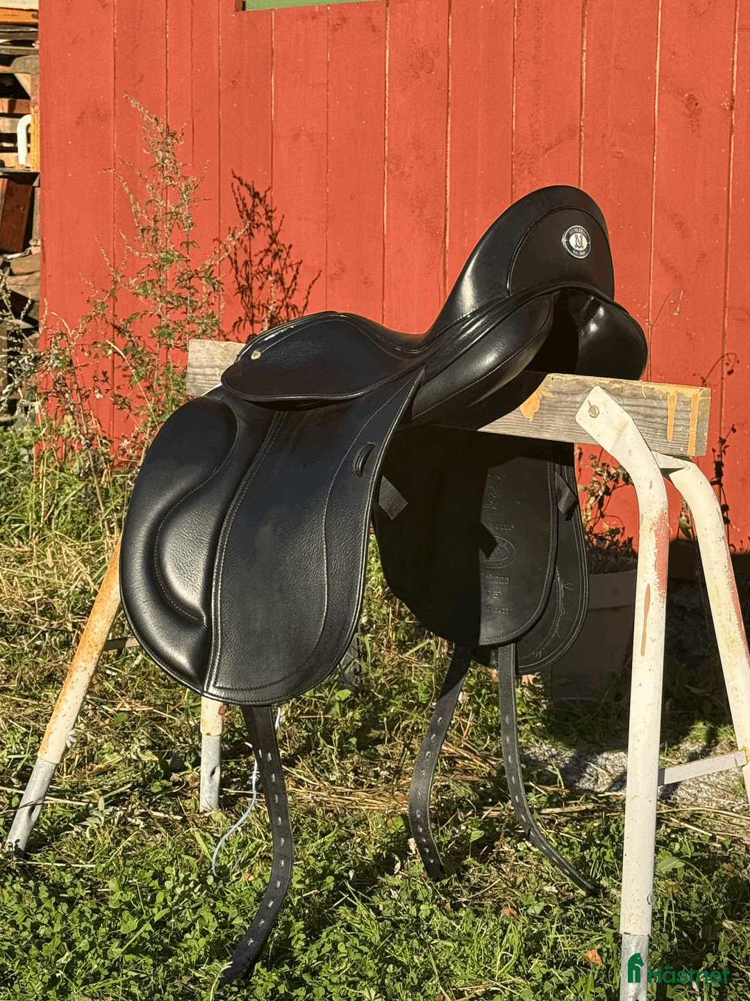 Sadlar hästutrustning till salu: Schleese Rokeno Dressyrsadel - Annons 5