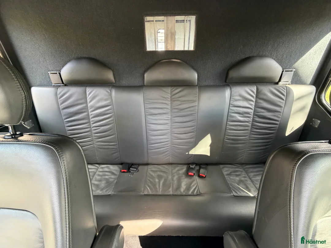 Hästlastbilar  fordon & transport till salu: Theault Morpheo 5sits hästlastbil - Annons 11