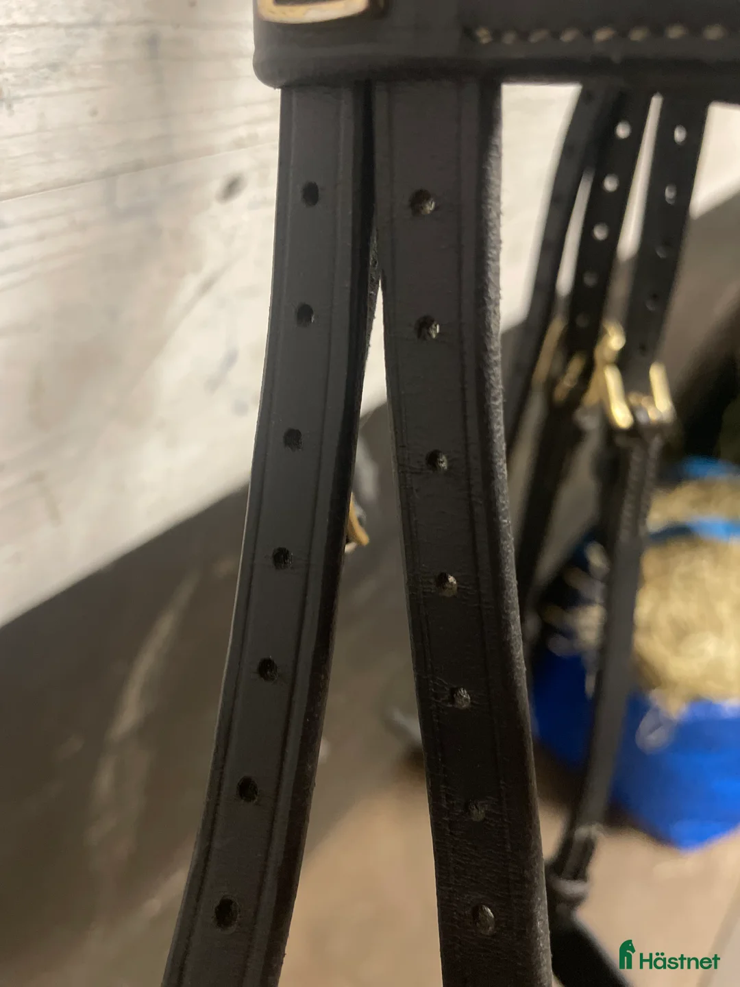 Träns hästutrustning till salu: Equalityline träns - Annons 8